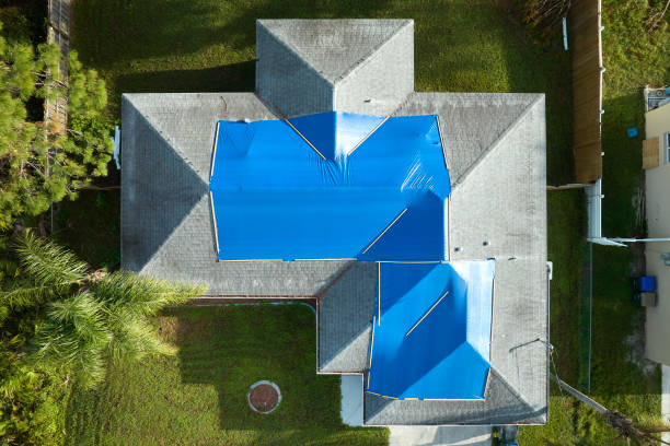 Best Asphalt Shingles Roofing  in Cody, WY