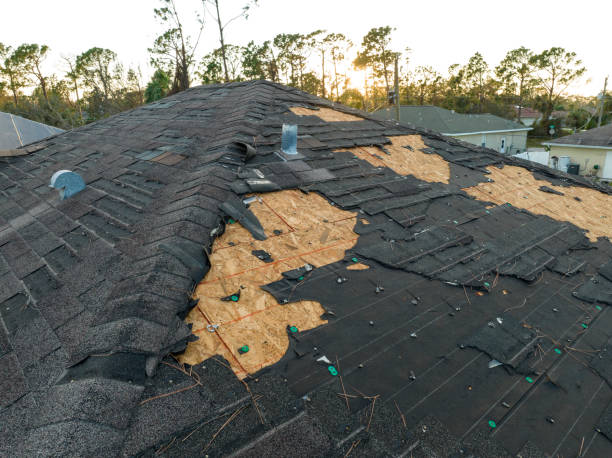 Best 4 Ply Roofing  in Cody, WY